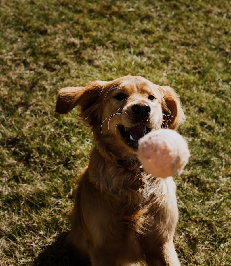 Isaac Mehegan/unsplash.com 