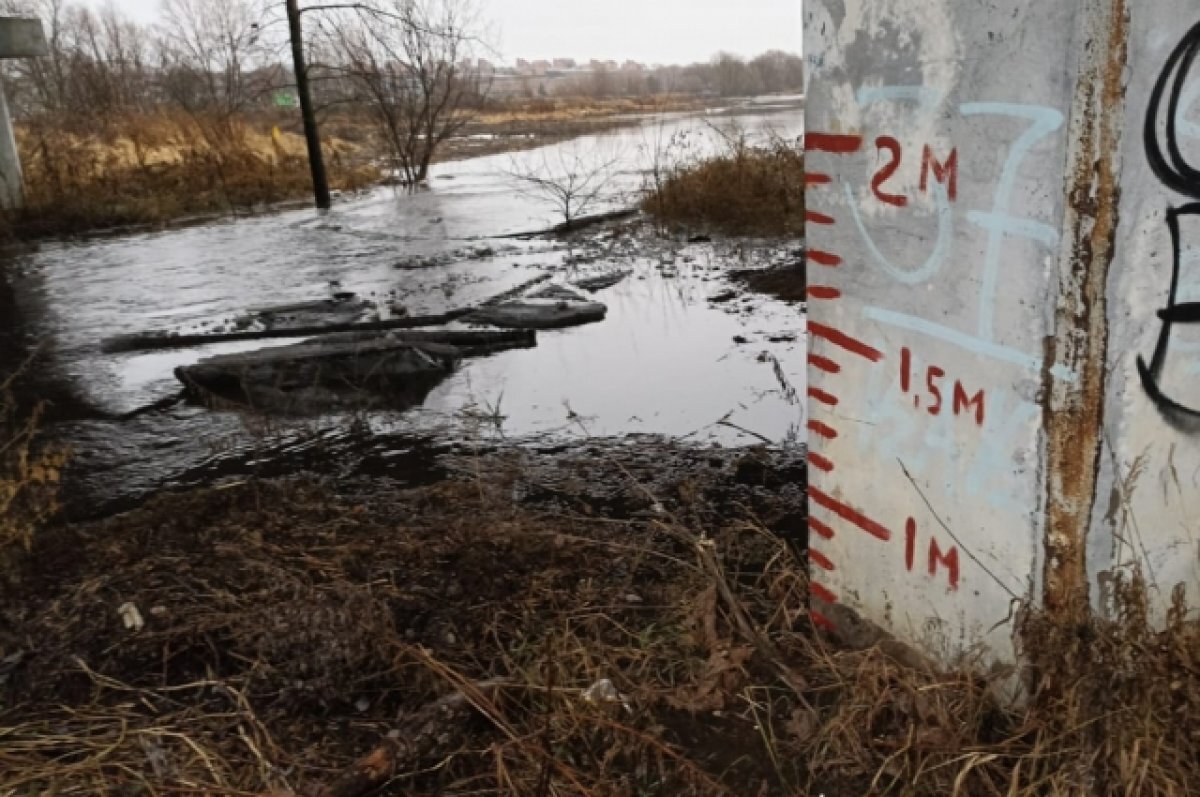    В селе под Тулой из-за оттепели и дождей подтоплены приусадебные участки