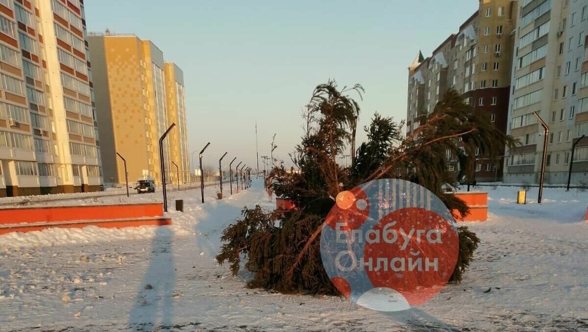     В Елабуге местные жители заметили лежащую на проспекте Автомобилистов елку. Ее уже несколько дней не могут установить на площади в «Саду у дома». Об этом заявили горожане в социальных сетях.