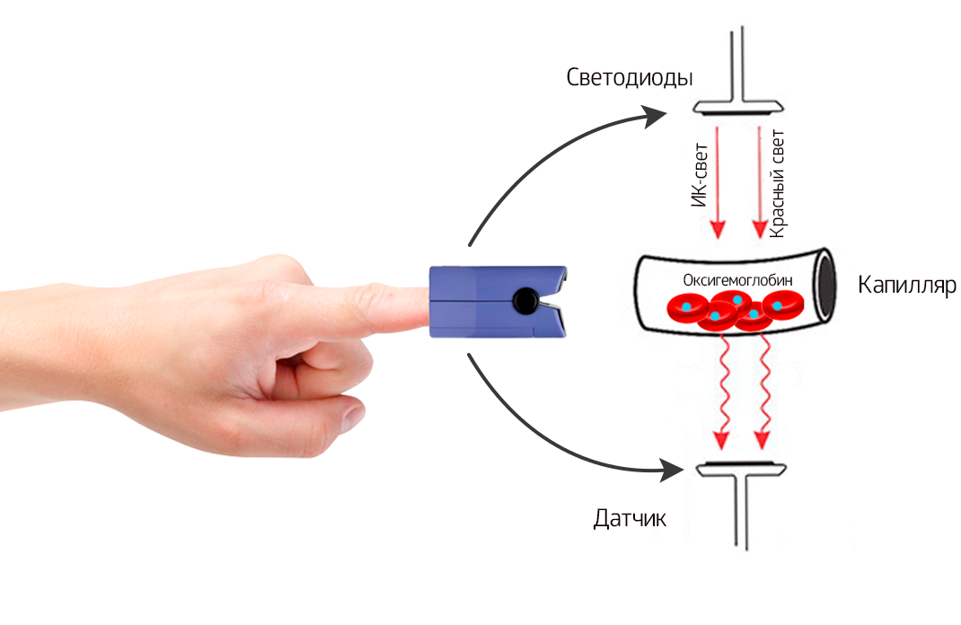 Функциональная схема пульсоксиметра