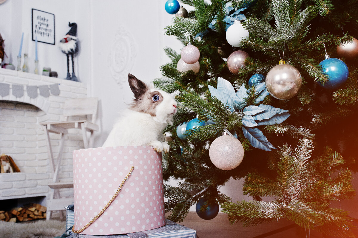 Изображение от ASphotofamily на Freepik