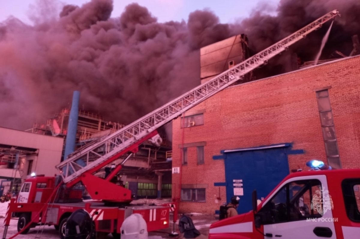    МЧС попросили возобновить регулярные проверки бизнеса из-за частых пожаров
