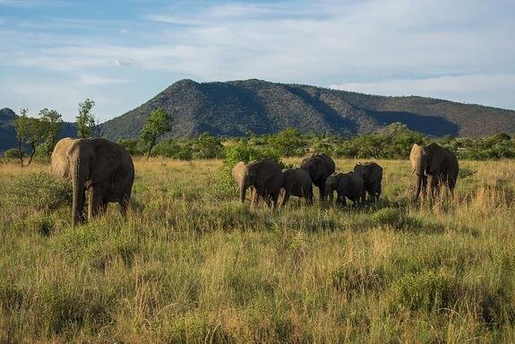    США отговаривают страны Африки от дружбы с РФ и КНР