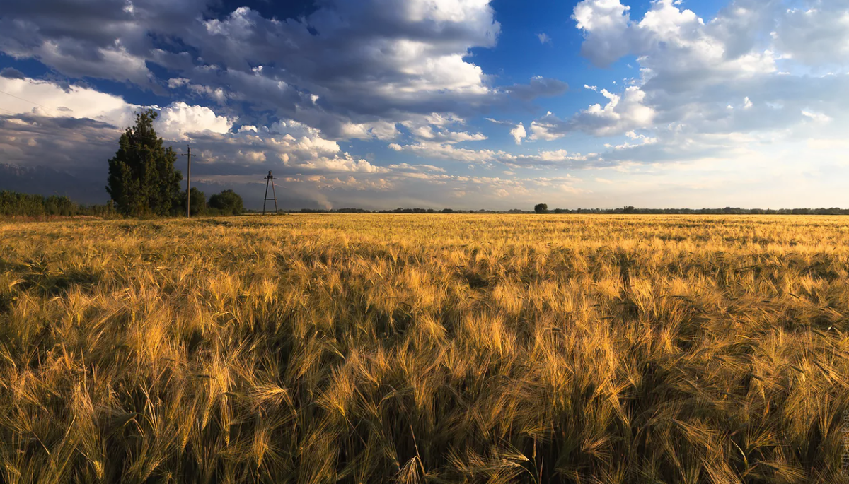 Село родина в казахстане фото