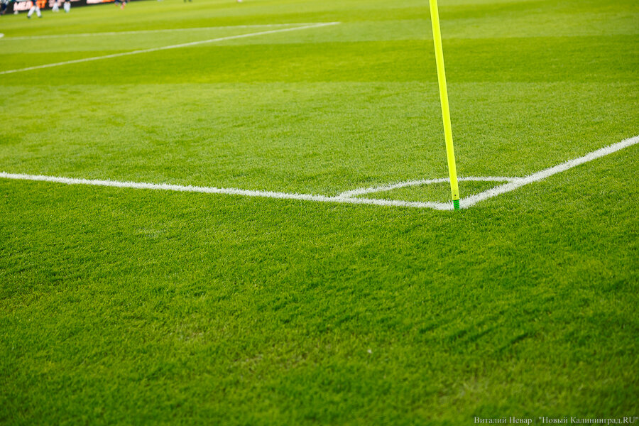 Фото: Виталий Невар / Новый Калининград