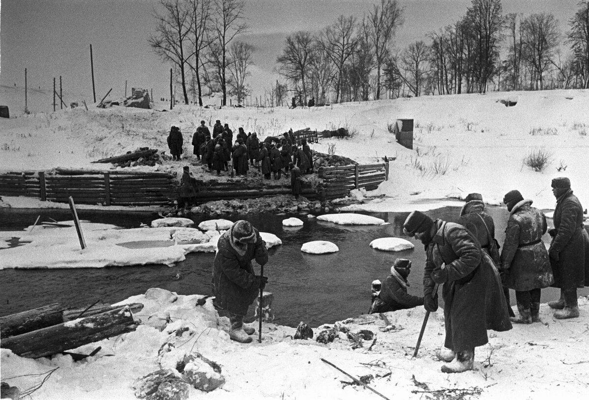 Отдала свой дом ради Победы и 25 лет жила в землянке... | История с Андреем  Журавлевым | Дзен