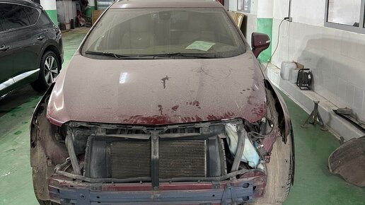Глобал авто шуя