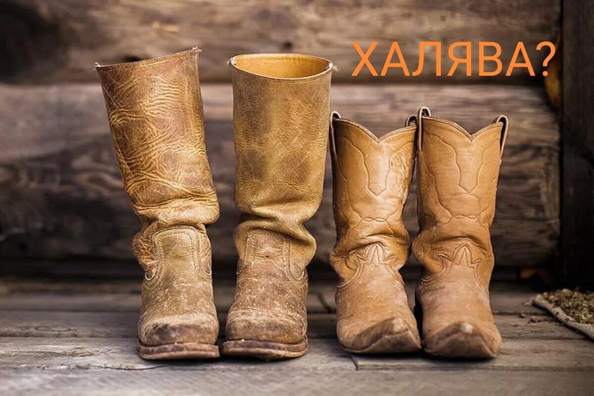     Вы даже и представить себе не могли, что раньше подразумевали под словом халява!