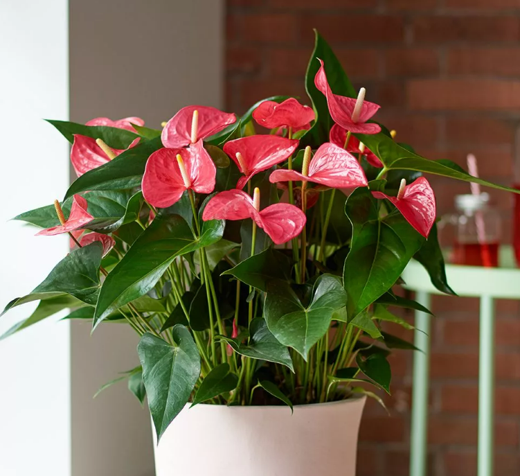 Фотография взята из источника 2sotki.ru