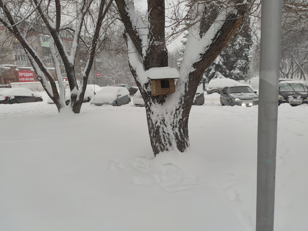 Фото автора. Кто в теремочке живёт?