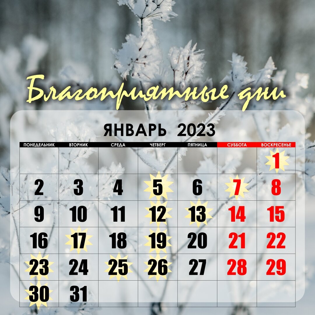 Календарь благоприятных дней в ноябре 2023 года