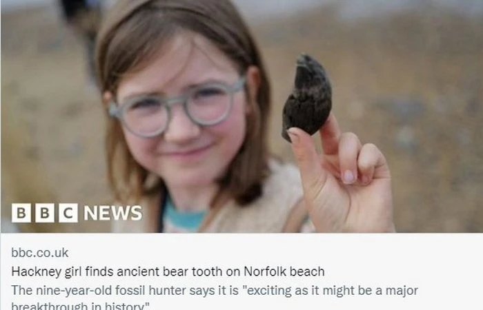 Фото. Школьница нашла на пляже зуб медведя возрастом 700 тысяч лет. (Скриншот/ BBC London/mobile.twitter.com)