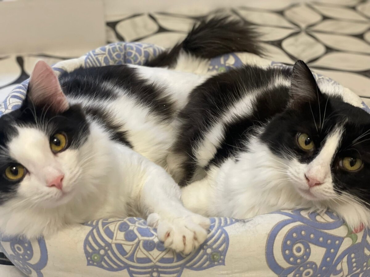 Справа мама Мари, слева - сынок Ричи