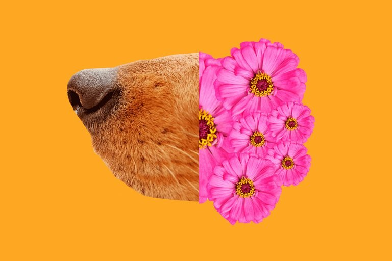 Добавьте описание