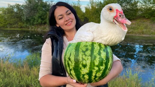 Утка с Фруктами в Арбузе запеченная в Тандыре | Рецепт из Сказки | Вика ...