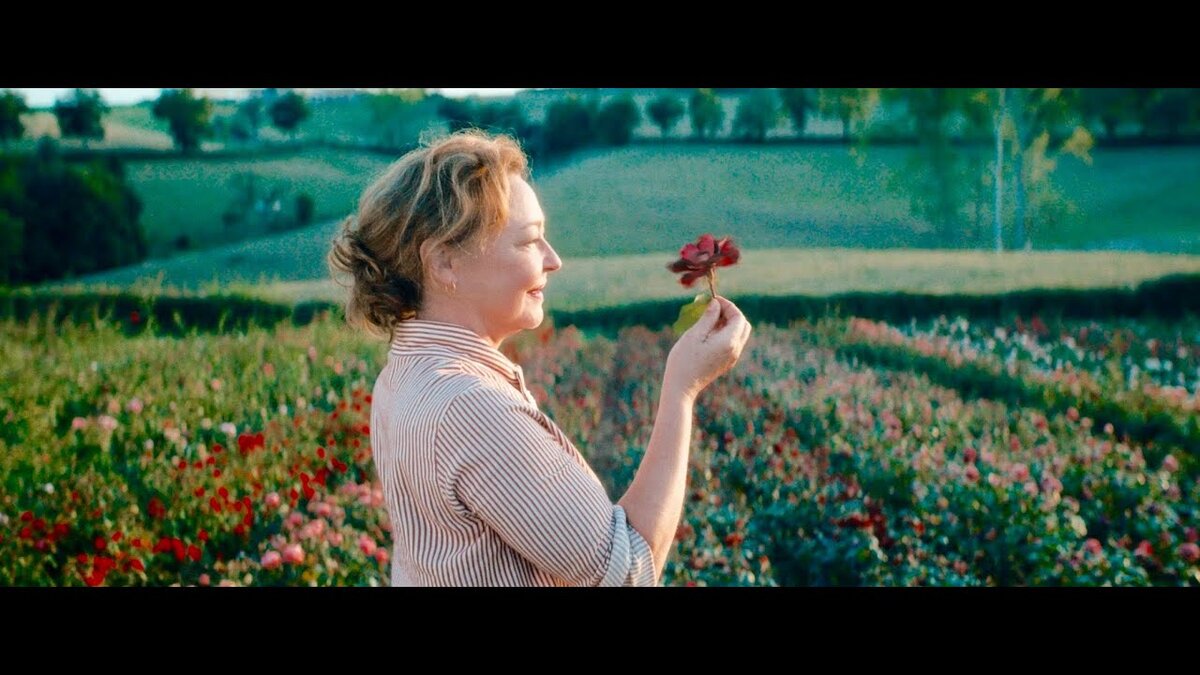 Роскошный цветок 2020, Франция