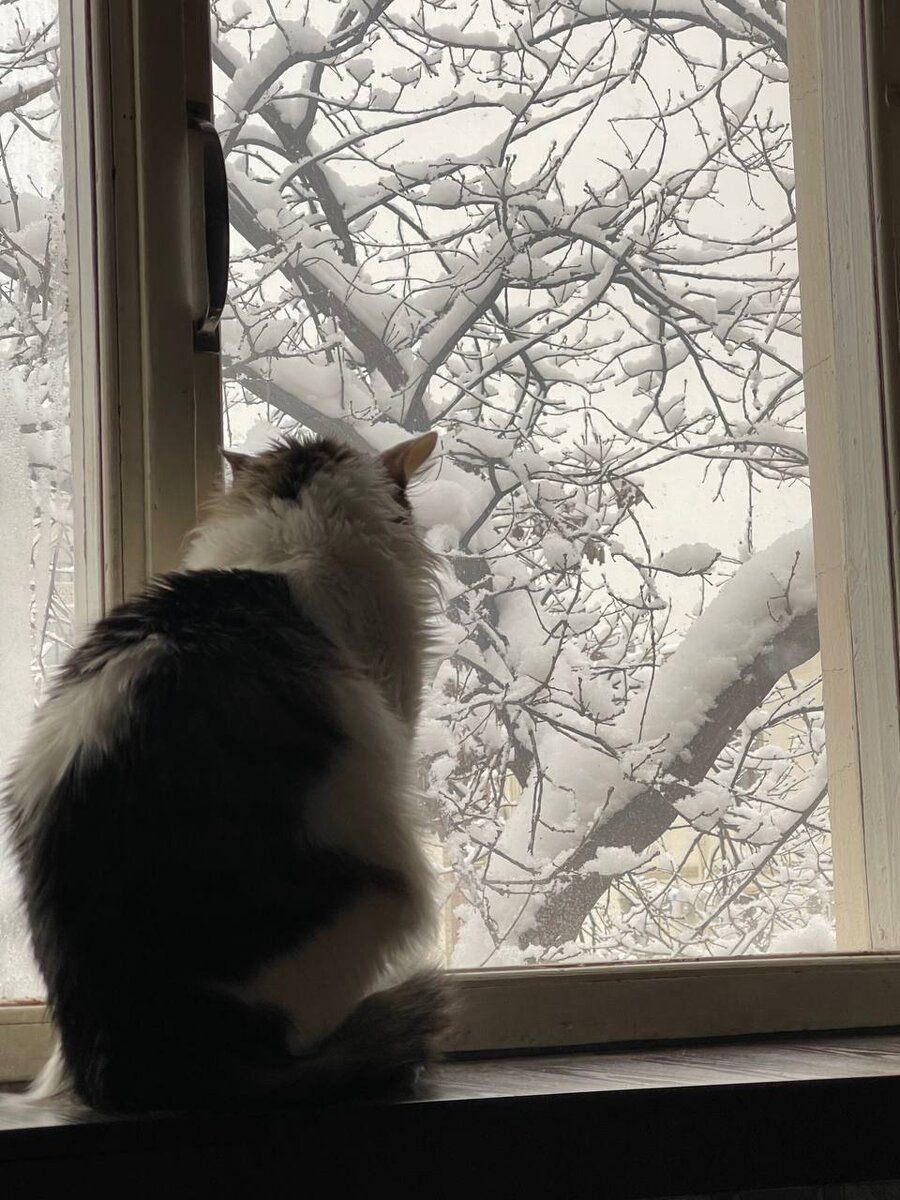 Фото от подписчицы Лолочки Абдуллаевой.