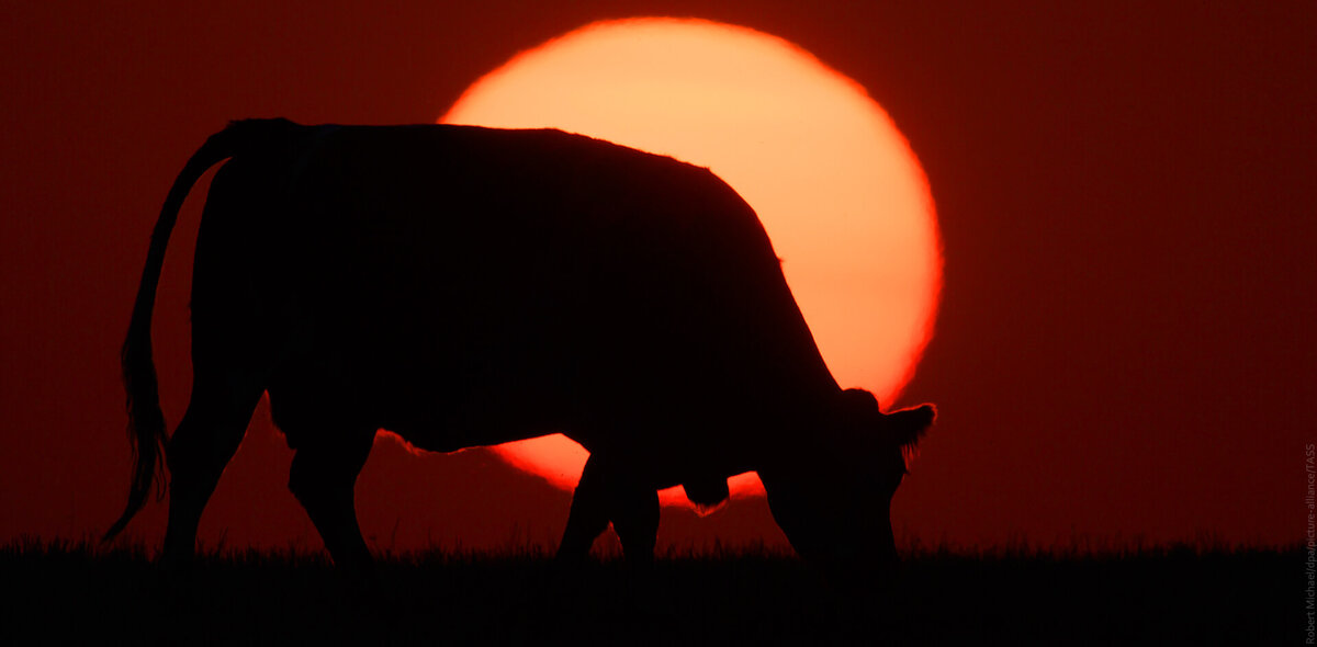 Фото: Robert Michael/dpa/picture-alliance/TASS