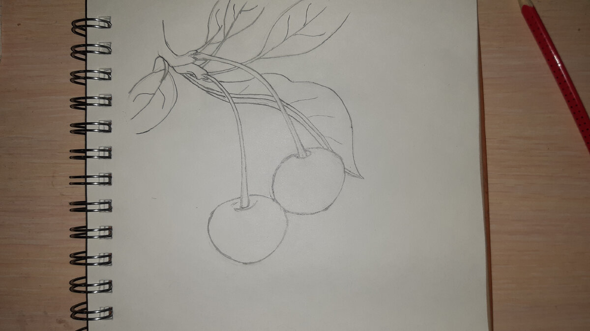 Рисунок тем временем обрел четкость.