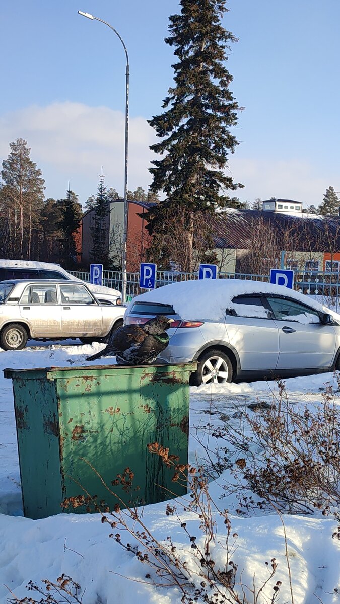 Личное фото.
