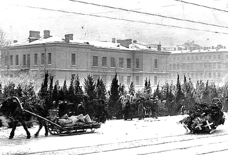 Елочный базар в Санкт -Петербурге. Фото 1912 год.