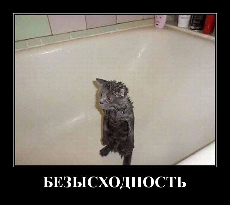 Похоже на меня