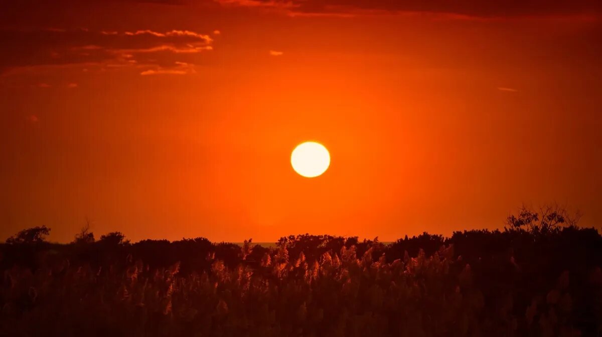 День является самым длинным. Фото: pxhere.com
