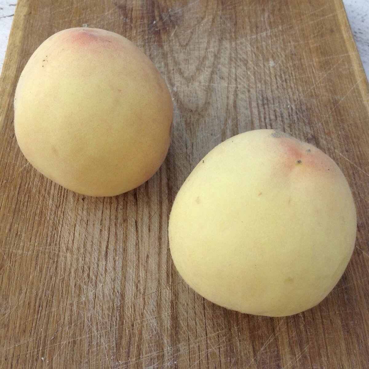 Лучшие сорта персиков в моём саду