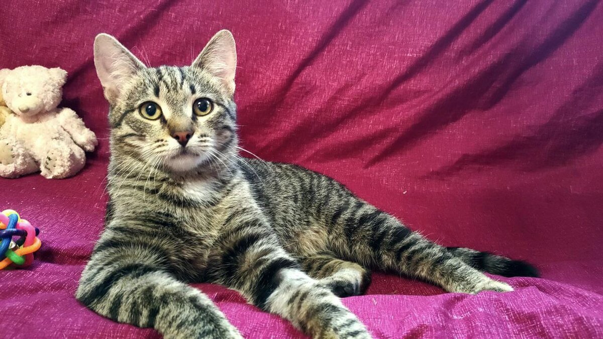 Подрос наш мальчик