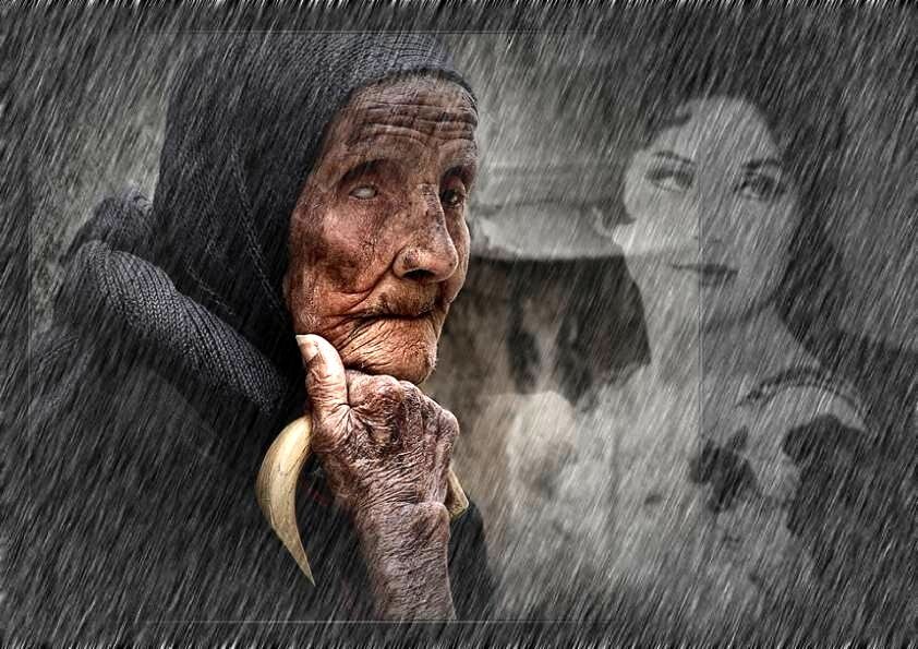 Фото взято из открытого источника © 2023 Любое копирование материала без согласия автора и прямой ссылки на канал запрещено.