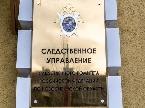     фото густаво зырянова/мк в новосибирске