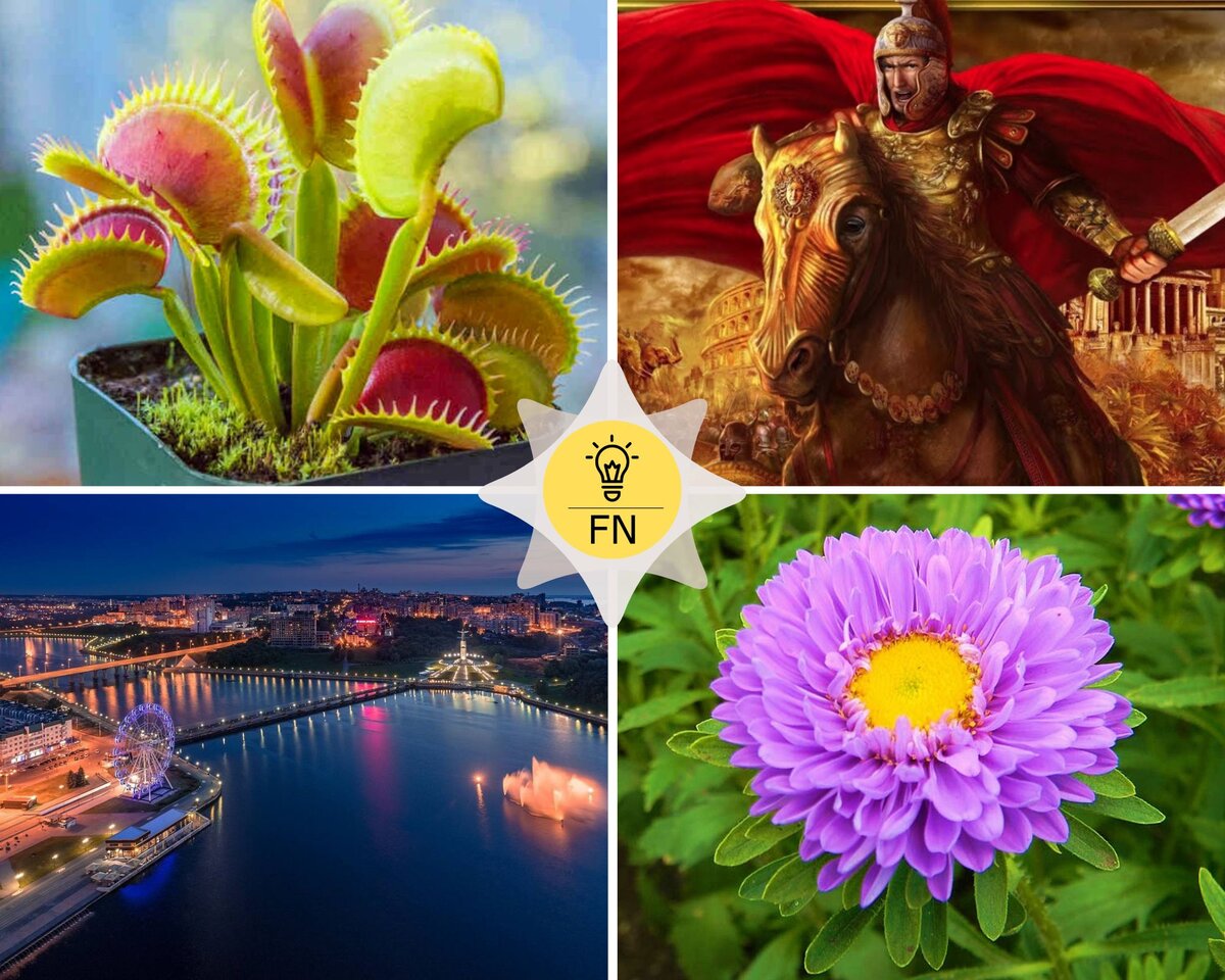 Тест на кругозор от 16.01.2023 г. Сможете ответить на 14 вопросов верно ...