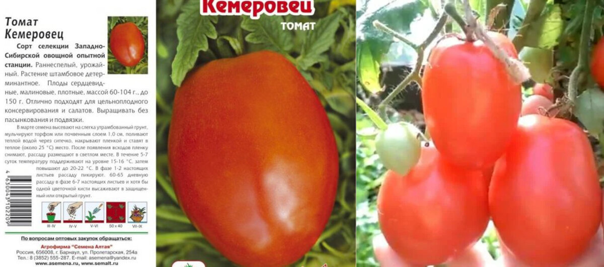 Майл. Картинки