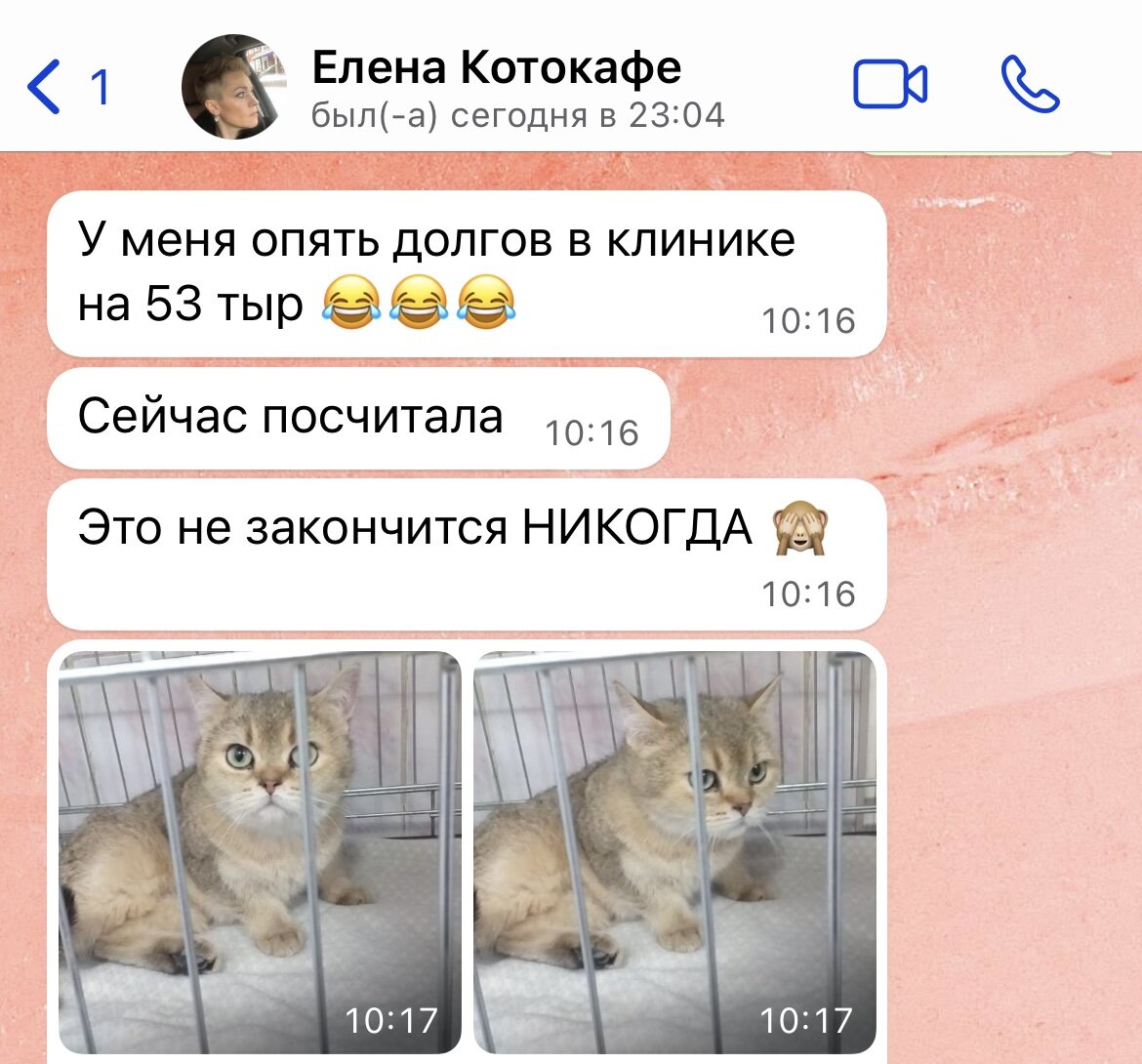 Деньги на лечение как всегда собираем всем миром и силами неравнодушных