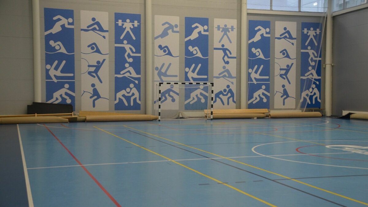     В 2022 году Татарстан вложил более 4 млрд рублей в строительство и ремонт спортивных объектов. Об этом во время итоговой коллегии рассказал министр спорта республики Владимир Леонов.