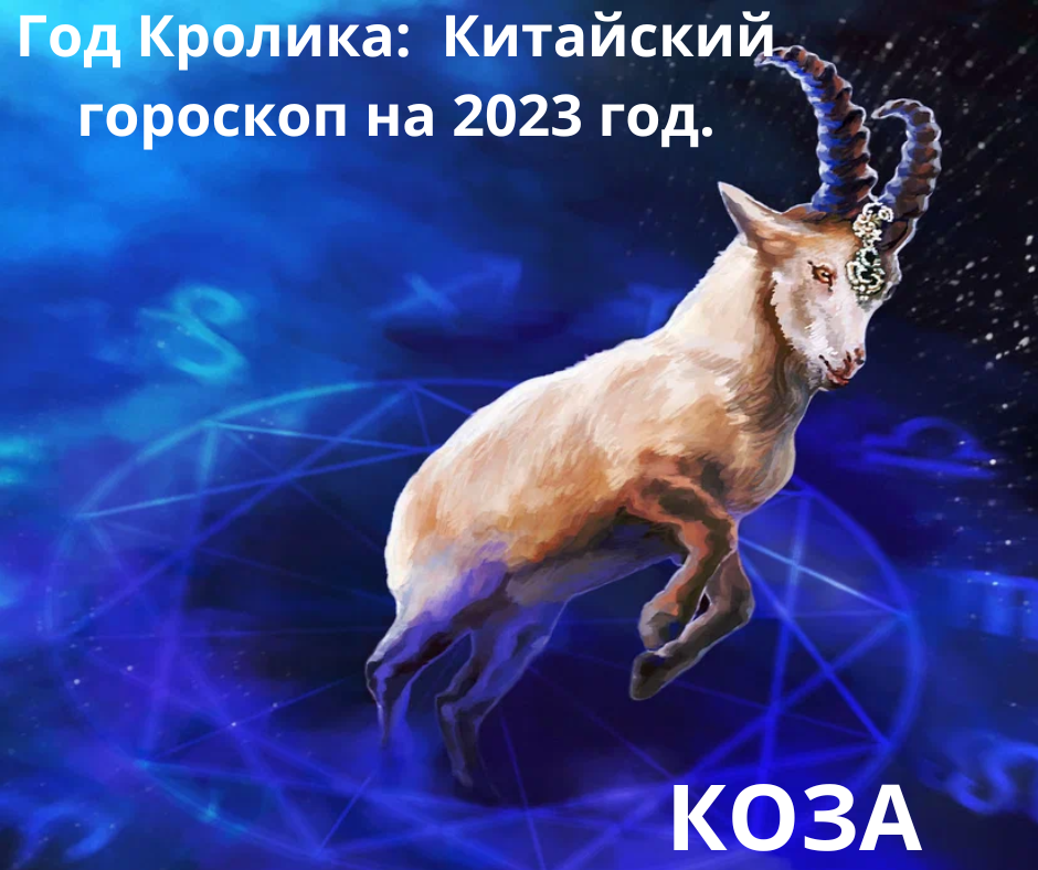 2027 какого животного. Год козы звезды.