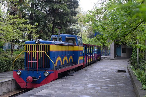   Современный вид ДЖД в Тбилиси. Фото: Mariia Kuzovleva / Wikimedia Commons / CC BY-SA 4.0
