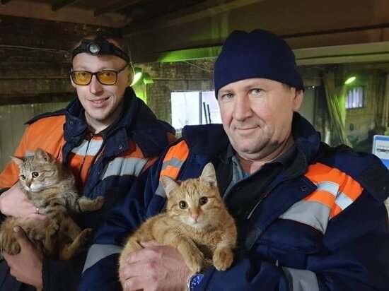     ФОТО: МП "САТП"/ВКОНТАКТЕ.