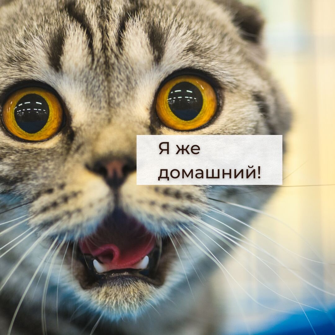 Эффективность вакцин 95%.