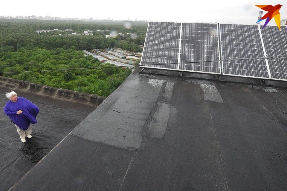     В Германии 8 граждан Беларуси нелегально занимались сборкой солнечной панели. Снимок носит иллюстративный характер. Михаил ФРОЛОВ