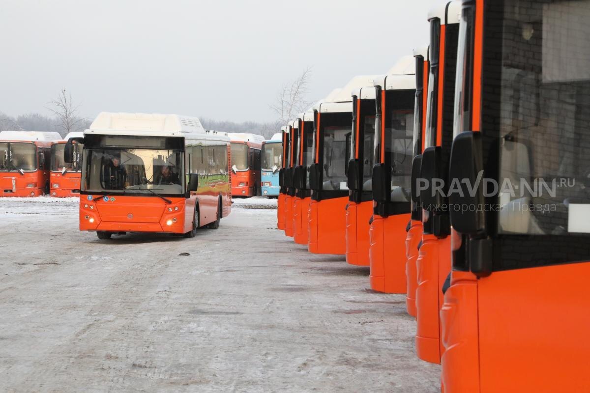    Сегодня рост выпуска у Арина Полтанова