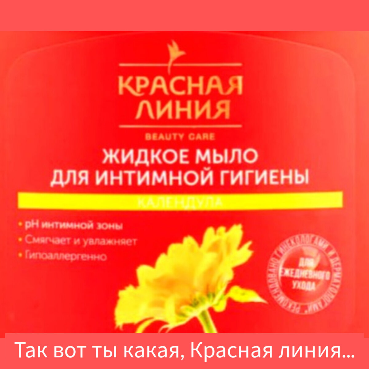 Картинка в редакции автора