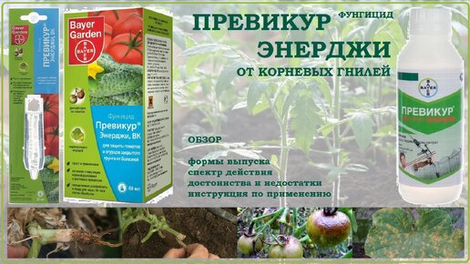 Превикур Энерджи - Лучшее Средство Для Профилактики Фитофтороза И.