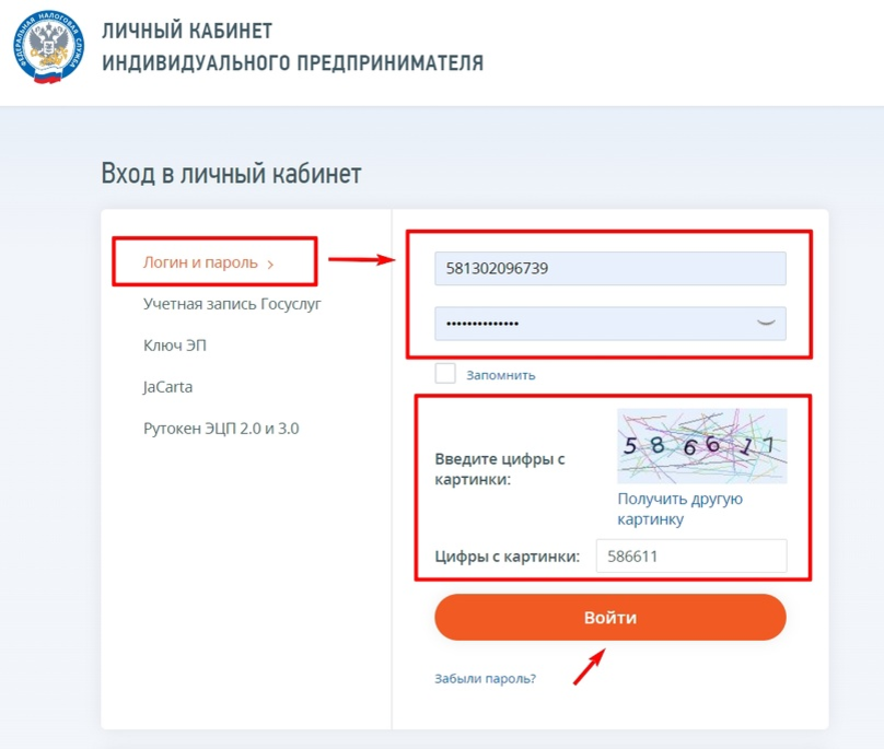 Вход в ЛК ИП с помощью логина и пароля