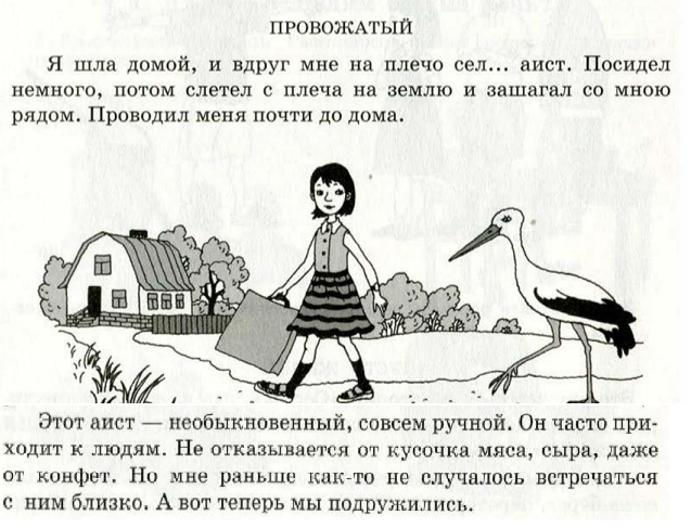 Скан учебника
