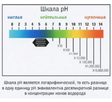 О социальной фобии