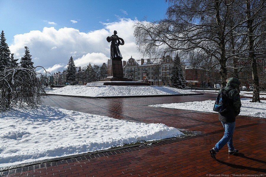 Фото: Виталий Невар / Новый Калининград