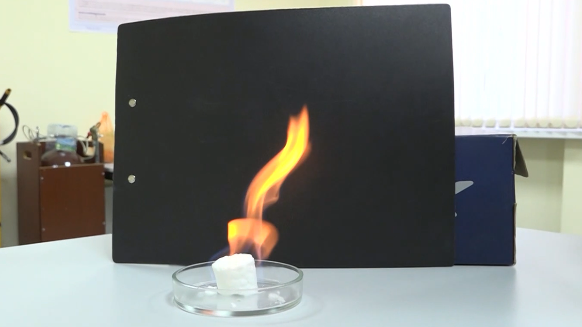 Источник изображения: скриншот видео vesti-yamal.ru