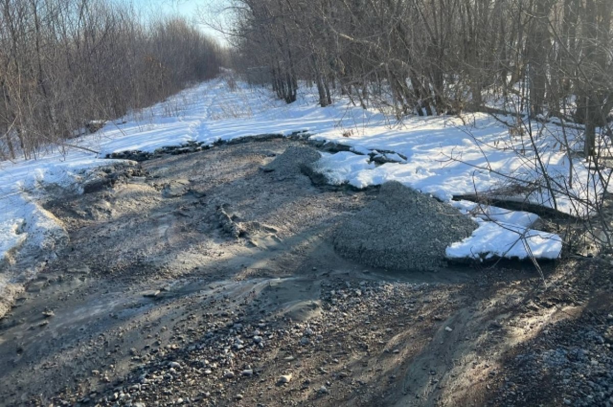    В лесопосадке в Южном в Оренбурге кто-то сливает бетон в землю.