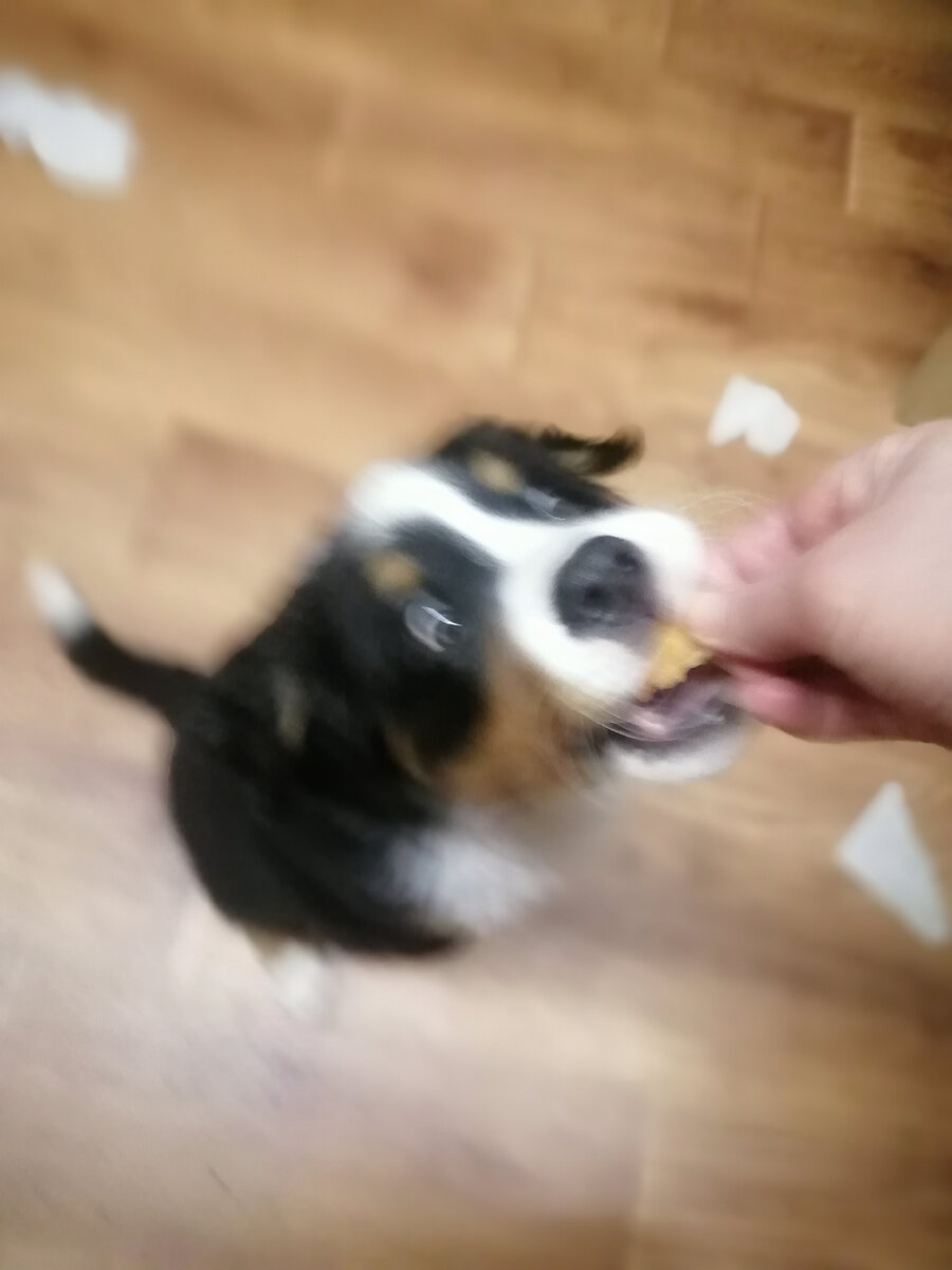 Лялька